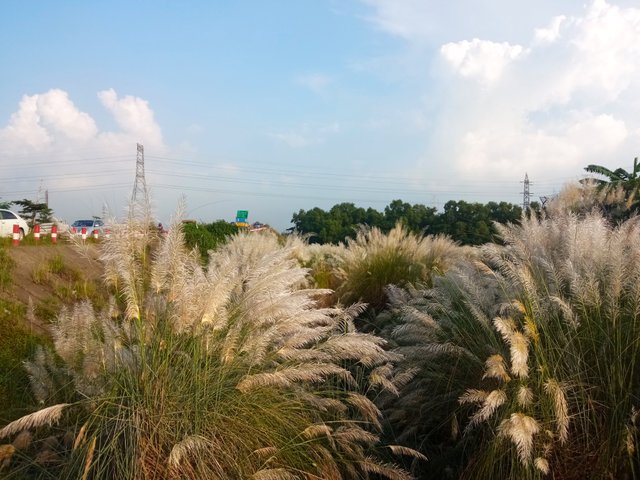 IMG_20250927_162244.jpg