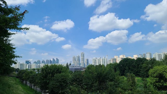 IMAGE 2025-09-17 01:26:38.jpg