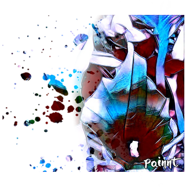 IMG_20190428_175300.png