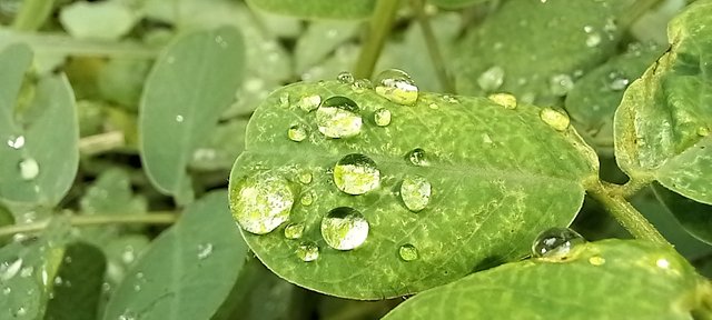 20250718_152347.jpg