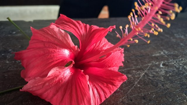 20240520_100051.jpg