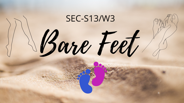 SEC-S13W3  Bare Feet.png