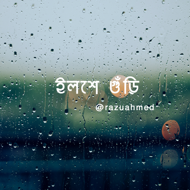 Photocentric Rain Quote Instagram Post.png