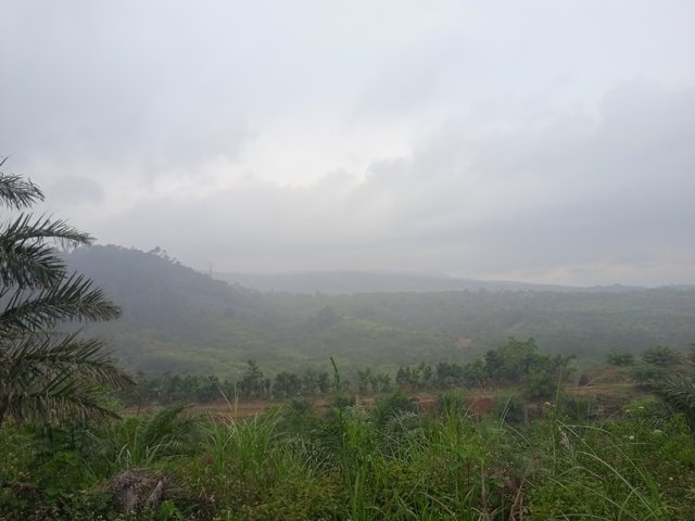 IMG_20250111_111651.jpg