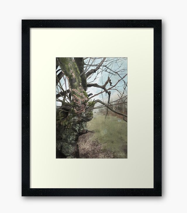 BeaconOak framed redbubble 2019.jpeg