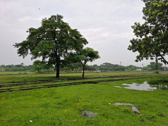 1000046310.jpg