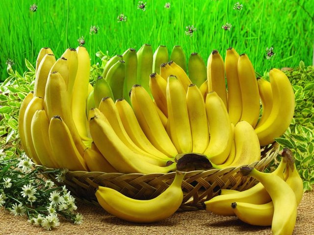 Sakit-Maag-Boleh-Makan-Pisang-980x735.jpg