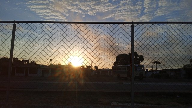 IMG_20250515_061159.jpg