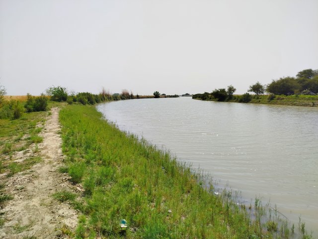 IMG_20250429_235243.jpg