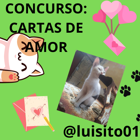 CONCURSO CARTAS DE AMOR_20240607_172916_0000.png