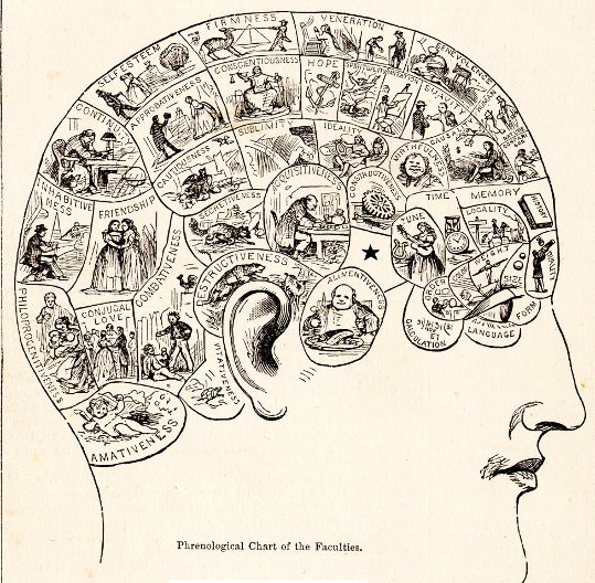 Phrenology 2 Pix 1883 pd.jpg