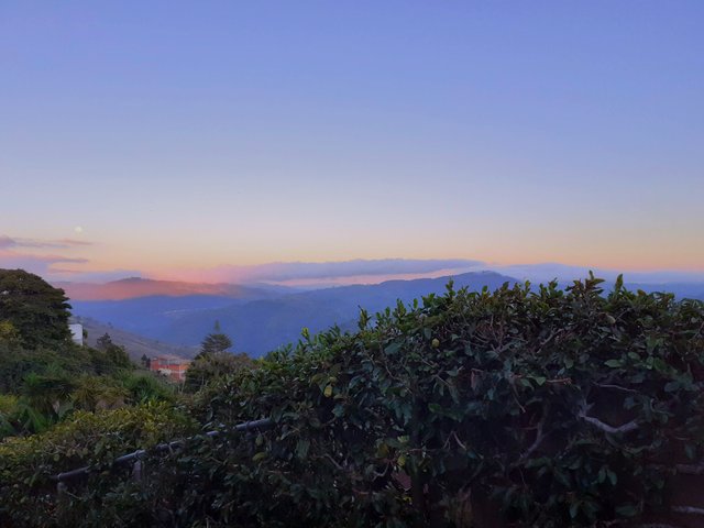 20241214_175707.jpg