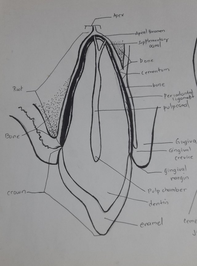 20210831_213001.jpg