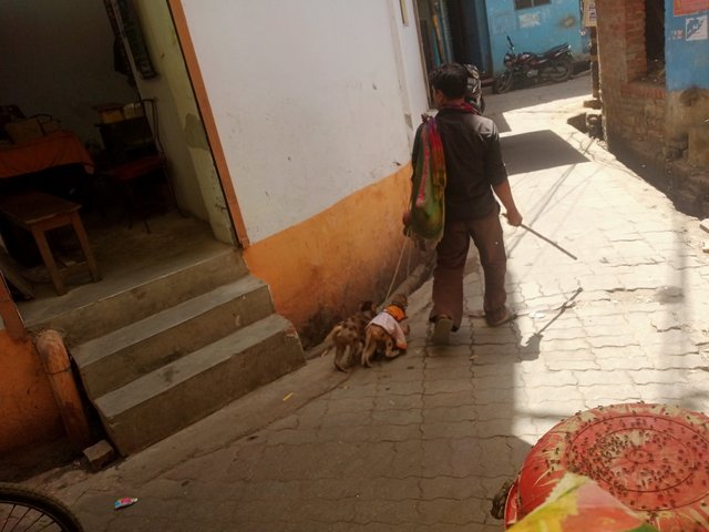 IMG20250423124002.jpg