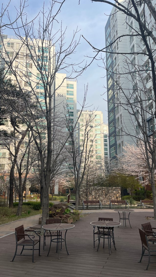 IMG_6688.jpeg