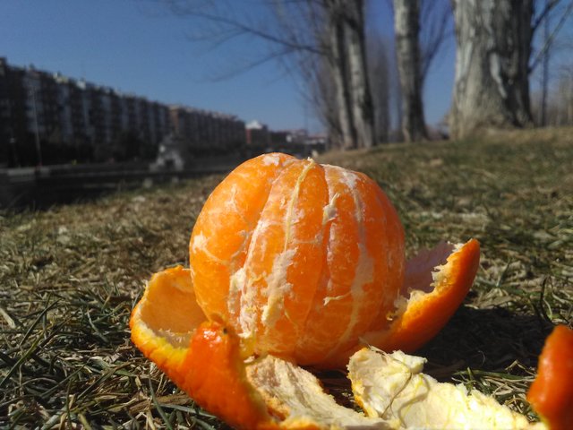 mandarina.jpg