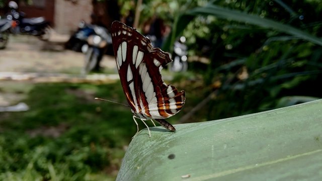 IMG_20200920_112658 - Copy.jpg