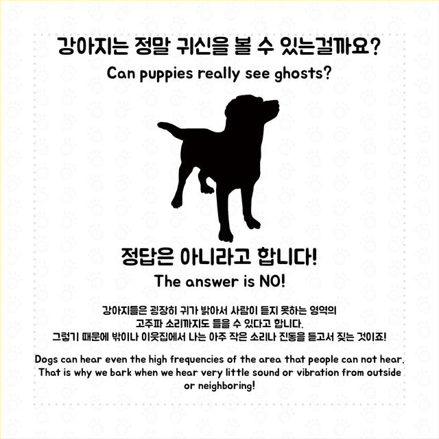 강아지 짖는 이유(영문 포함)2.png
