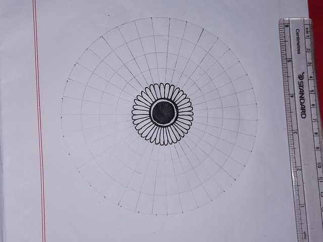 20250601_222117.jpg