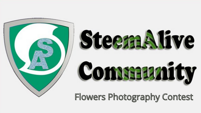 Flowers Photography Contest (2).png