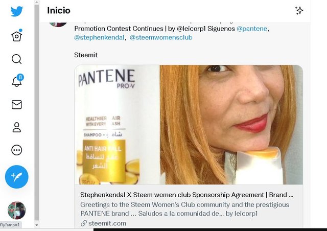 PANTENE000.JPG