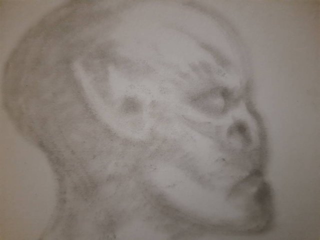 20250721_103931.jpg