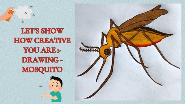 Let’s show how creative you are- Drawing - Mosquito.jpg