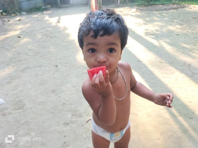 IMG20250326074602.jpg