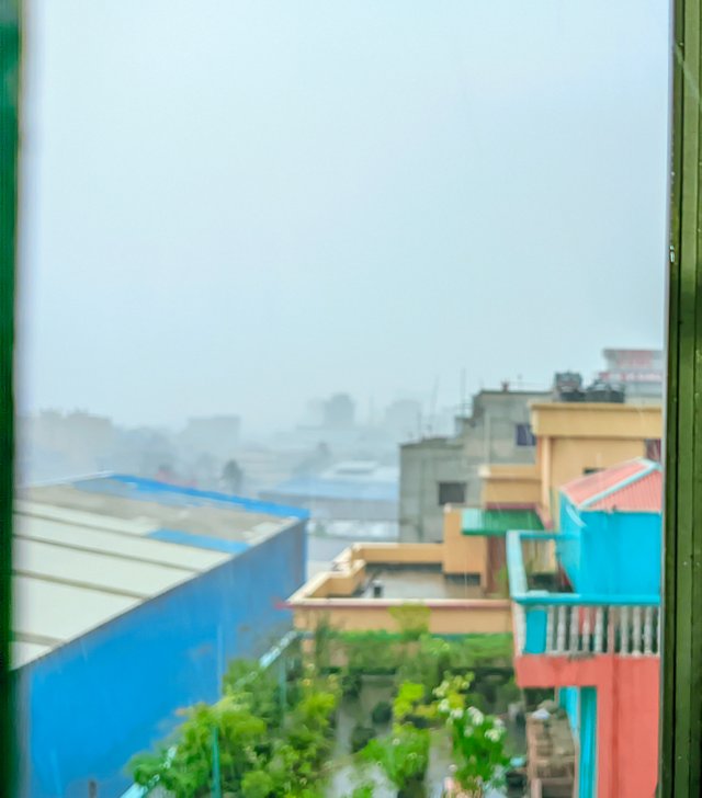 1000041061.jpg