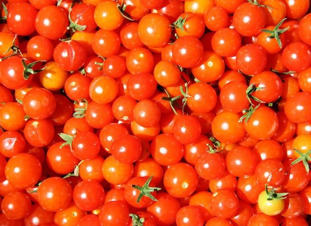 tomatoes-835385_1280.jpg