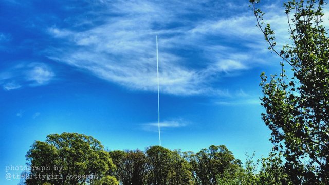 VerticalContrail.jpg