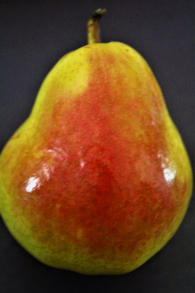 pear.JPG
