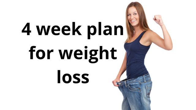 4 week plan to lose weight..png