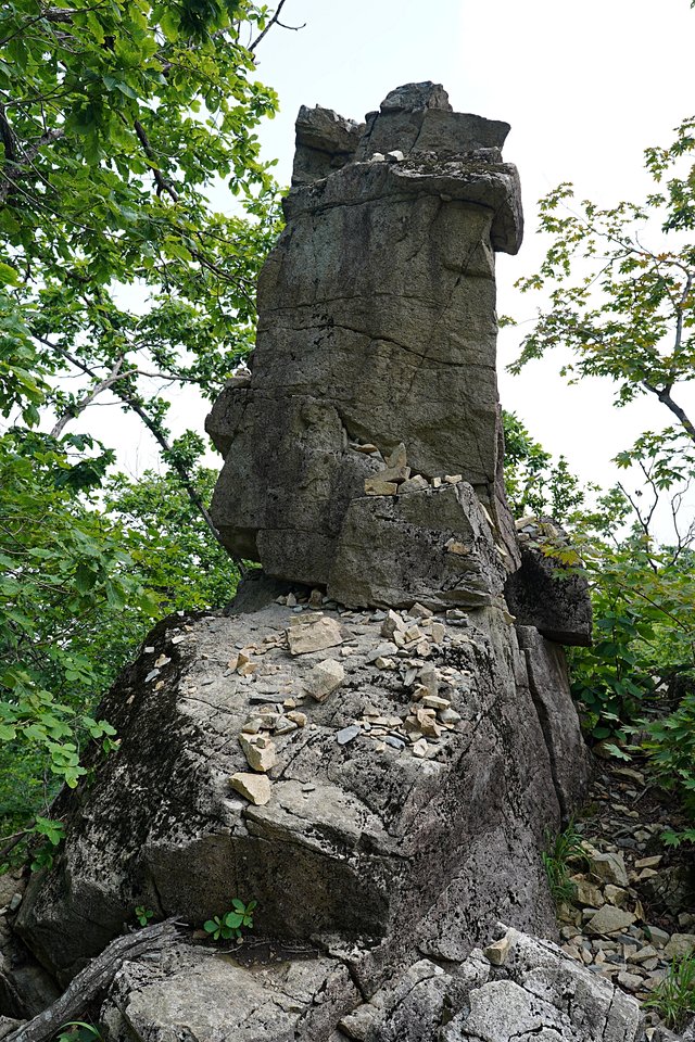b-DSC07417.JPG