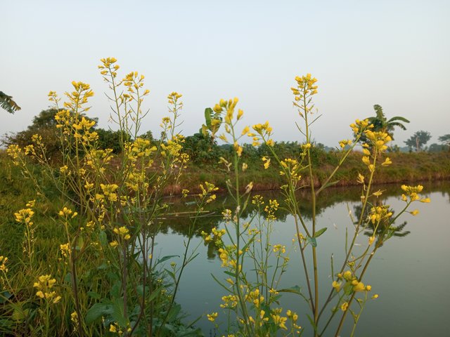 IMG_20231121_072024_703.jpg