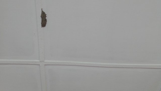 IMG_20250926_093738.jpg