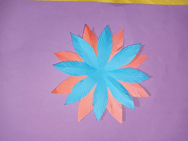 IMG-20250303.jpg