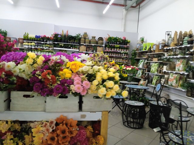 IMG_20250608_044514.jpg