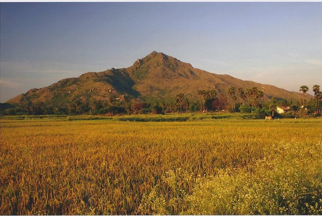 Arunachala - Kopie.jpg