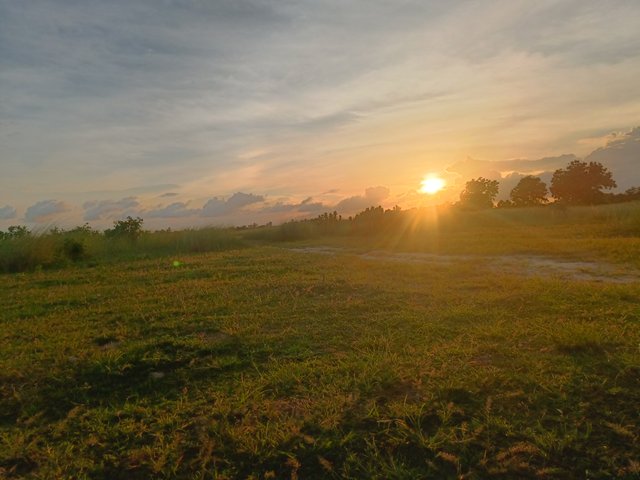IMG20250629182615.jpg
