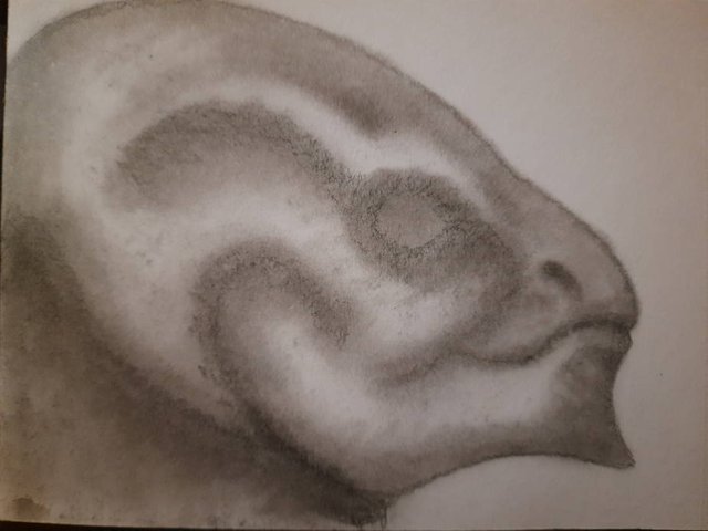 20250521_105339.jpg