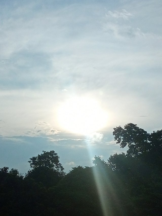 IMG20250729174450.jpg