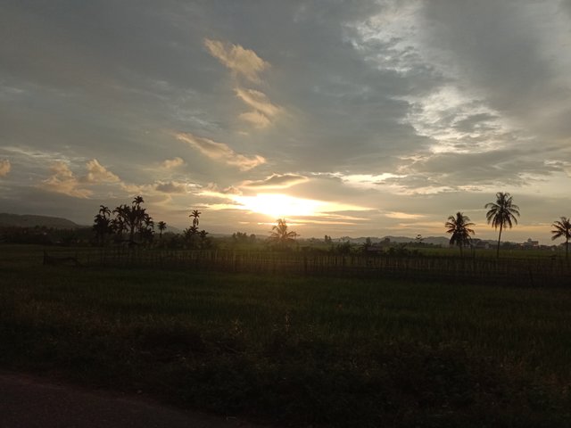 IMG_20220318_182914.jpg