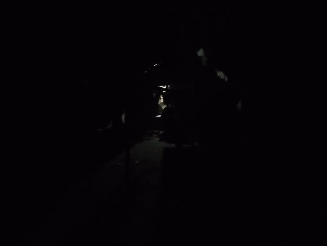 IMG_20250927_193751.jpg