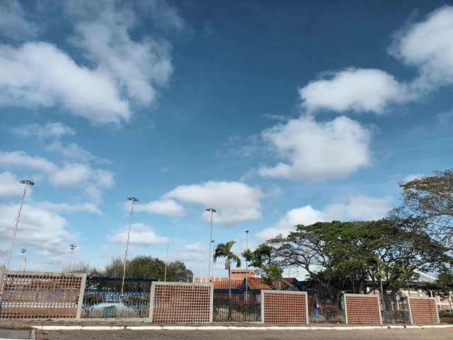 20250516_082847.jpg