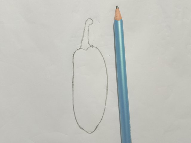 1000021428.jpg