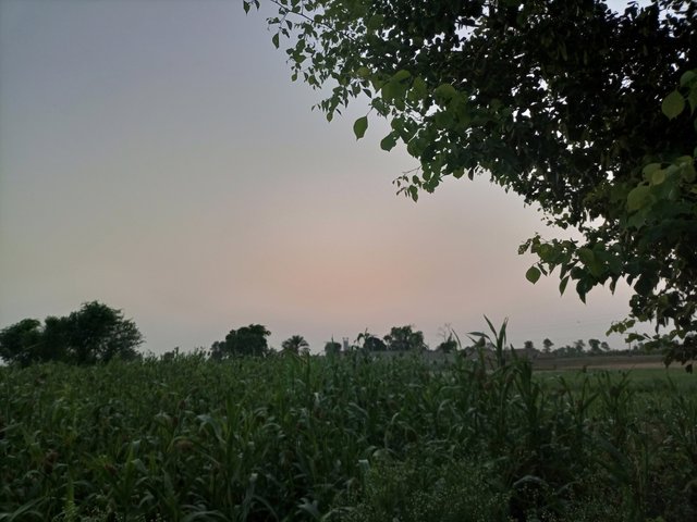 IMG_20250605_185822_730.jpg