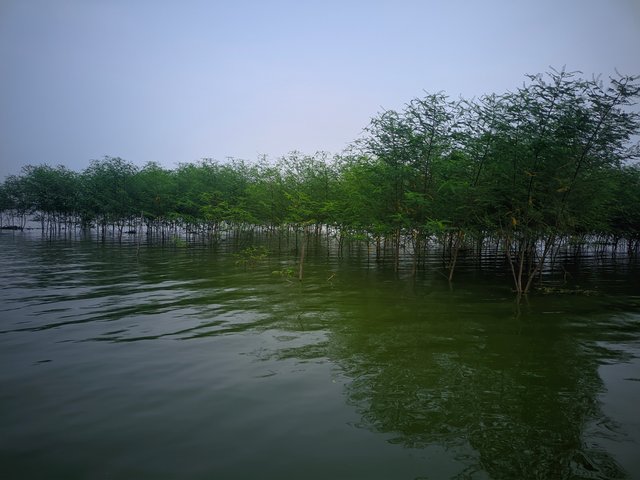 Riyan_20250812_165647_📸DSLR X Plus.jpg