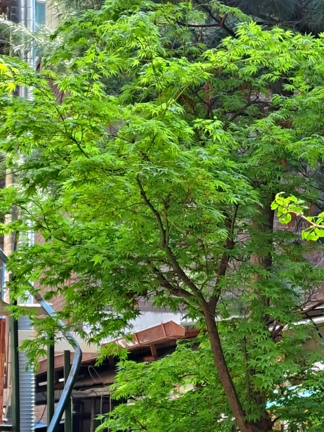 20220415_144120.jpg