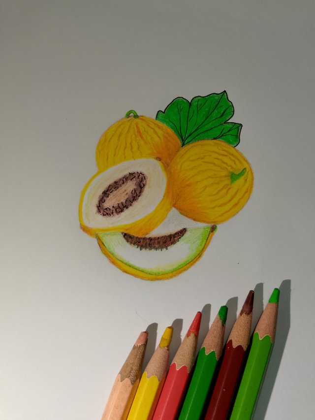 1000055135.jpg